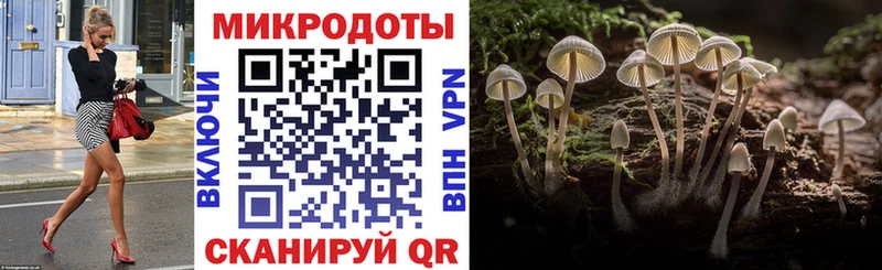 Галлюциногенные грибы прущие грибы  Кодинск 